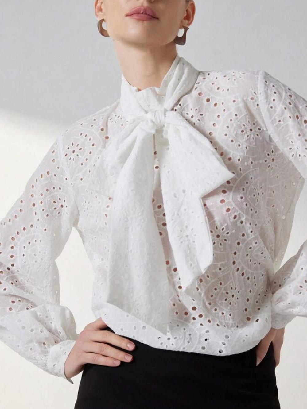 Elegant Sheer Loose Fit Embroidered Hollow Neck Tie Top Blouse Shirt White